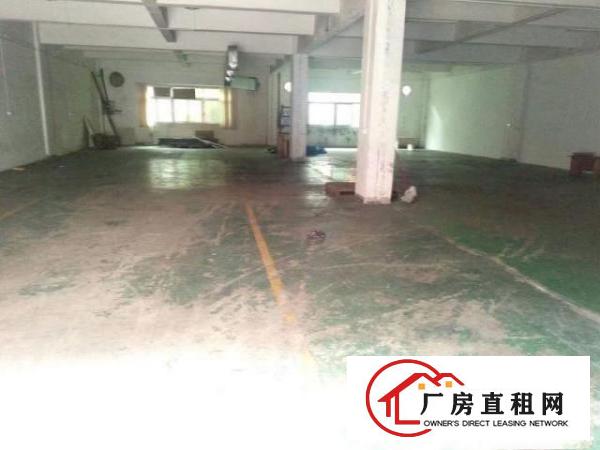  万江标准一楼800平方带装修带办公室出租水电消防齐全