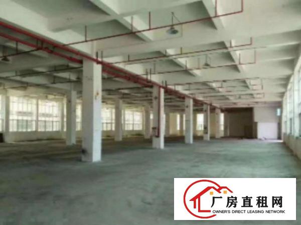  万江标准一楼厂房750㎡出租