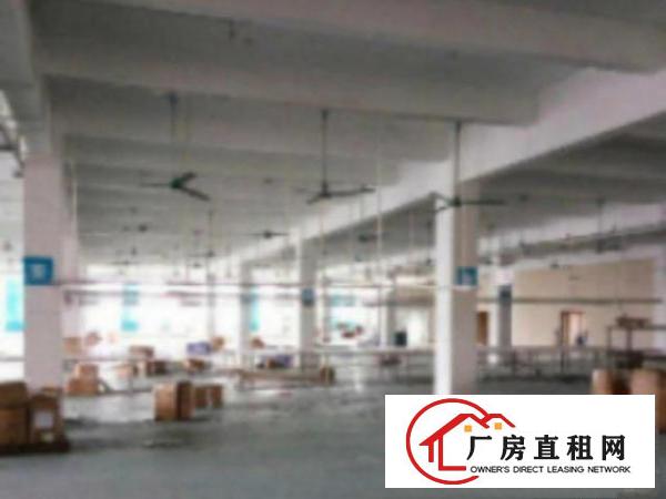  万江简沙洲标准厂房一楼1000平方带办公室装修