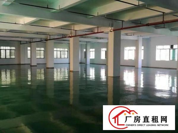  标准厂房1000平方带办公室装修高速路口附近，适合行业电子