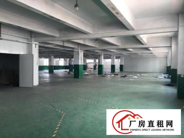  万江区新出原房东独门独院厂房