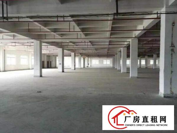  万江区新出原房东独门独院厂房