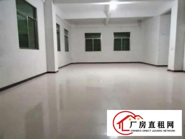  出租万江街道共联金龙新邨厂房出租