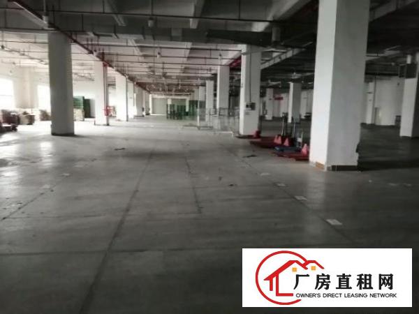  万江独门独院厂房4500平方出租