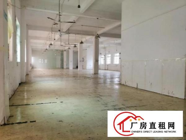  万江独门独院厂房4500平方出租