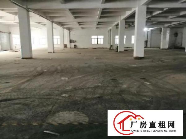  万江独门独院厂房4500平方出租