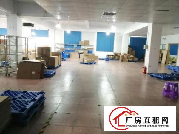  万江独门独院厂房4500平方出租