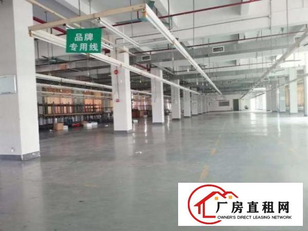  万江标准独门独院厂房12500平方出租，上市公司！