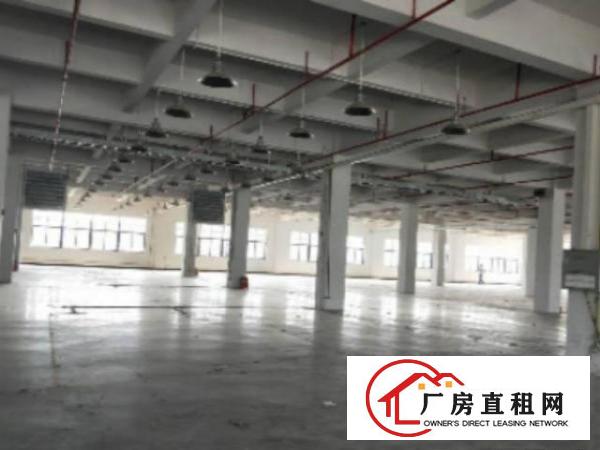  万江独院标准厂房仓库500至10000平方招租空地大,有专人