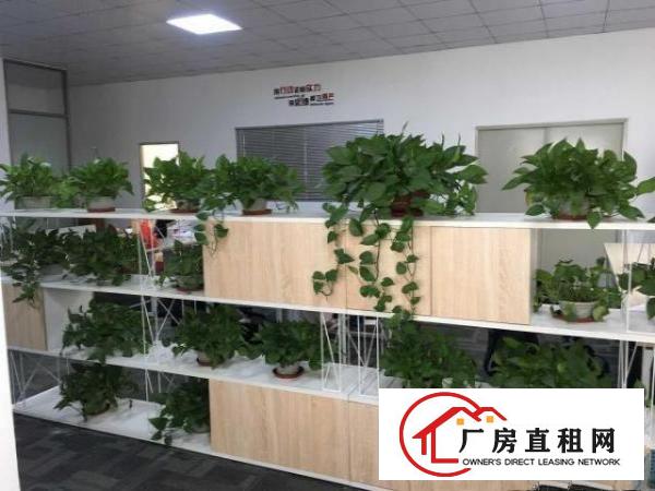  出租万江街道万江中心大型厂房