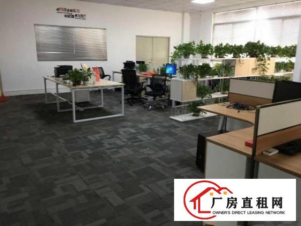  出租万江街道万江中心大型厂房
