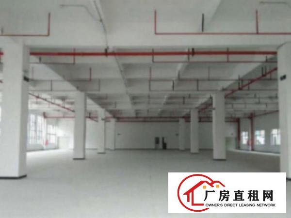  万江拔蛟窝原房东独院厂房出租2000平方