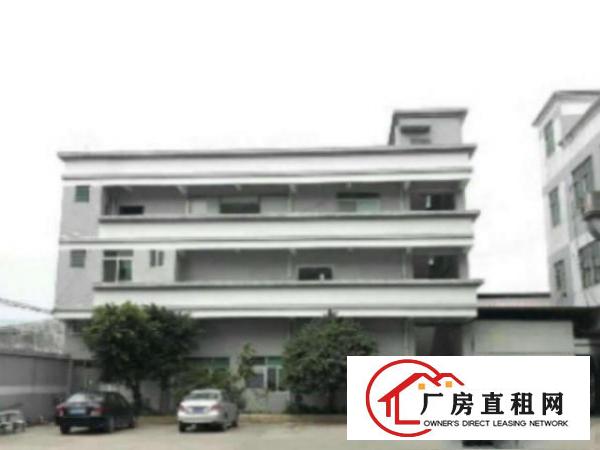  万江九成新经典独院标准楼房厂房宿舍共10000平方出租适合各