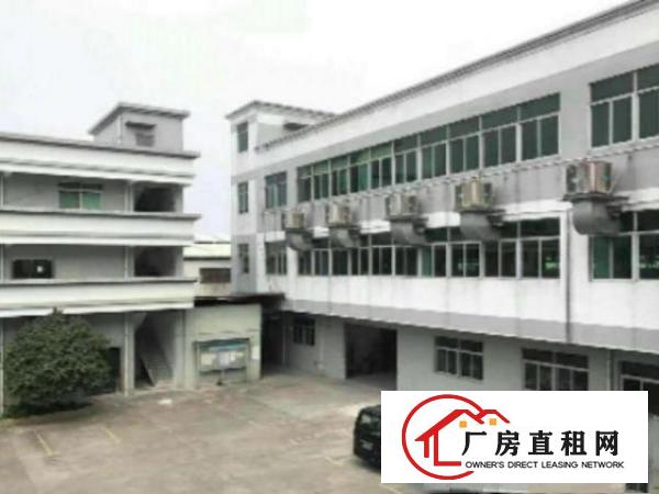  万江九成新经典独院标准楼房厂房宿舍共10000平方出租适合各