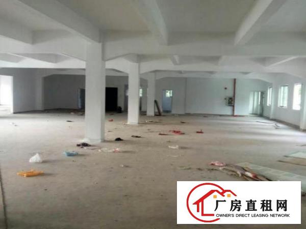  万江花园式厂房分租一楼900平方,价格便宜水电线路齐全，宿