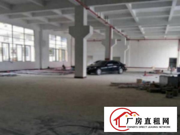  万江石美独院厂房分租1楼1800平方低价招租，带牛角