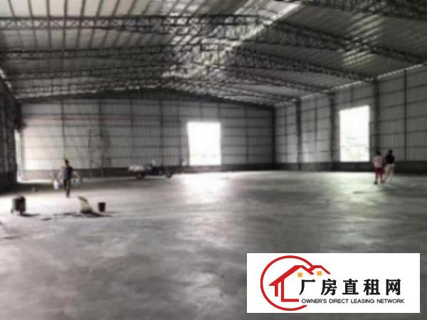 万江独院单一层钢结构800平方厂房出租