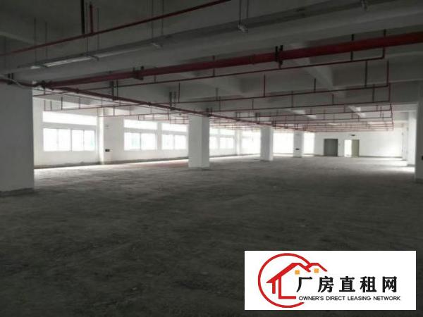 万江交通方便适合机械、工业区标准一楼3000平方招租水电齐全