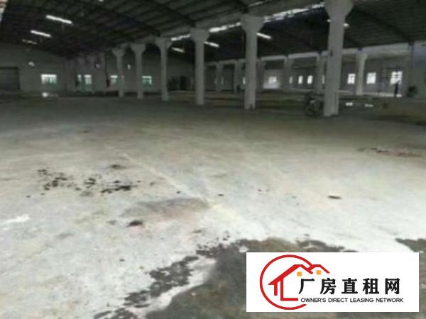  万江独栋单一层钢构厂房出租2300平方出租