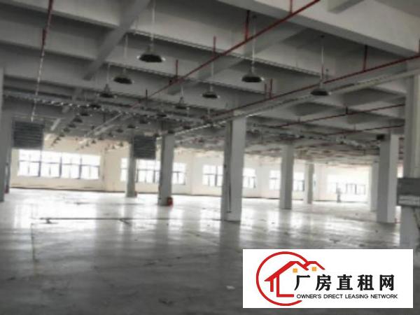  万江工业区标准一楼1000平方招租水电齐全五金塑胶等行业