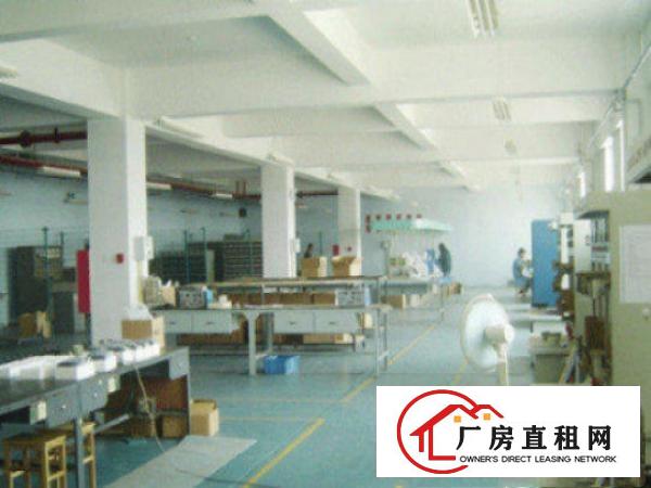  万江带现成装修标准一楼700或1900平方招租现成水电，宿舍