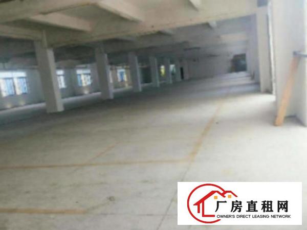  万江环城路外标准一楼厂房800或1000㎡出租、水电齐全