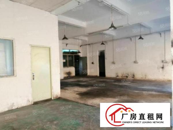  万江滘联社区一楼300带办公室独立洗手间厂房招租