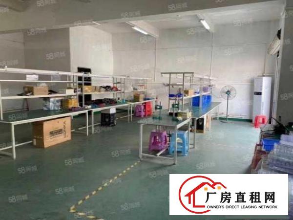  万江小享社区新出楼上300平厂房出租