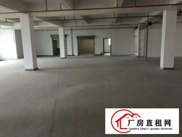  万江小享独院原房东出租楼上一层2000平方