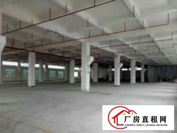 万江标准一楼厂房出租形象漂1200平方出租