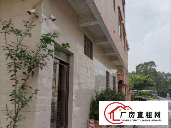 商铺、办公室、仓库、厂房出租（港口大道旁100m）