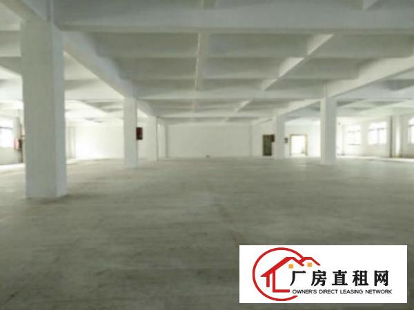  万江石美附近工业区新出标准厂房2楼1500平方出租