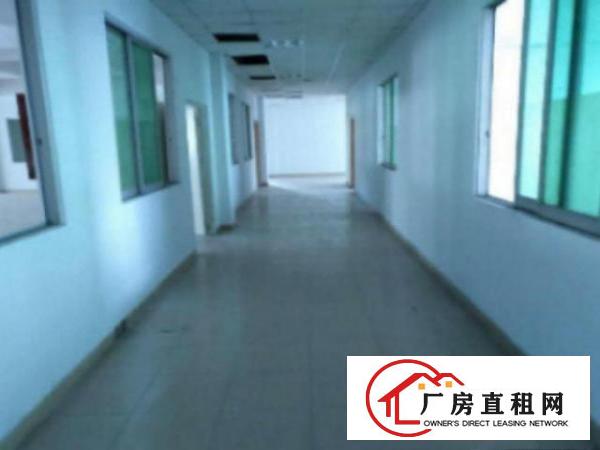  万江带现成装修标准一楼600平方招租