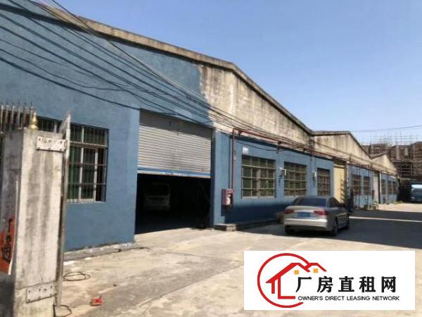  万江带现成装修标准一楼600平方招租