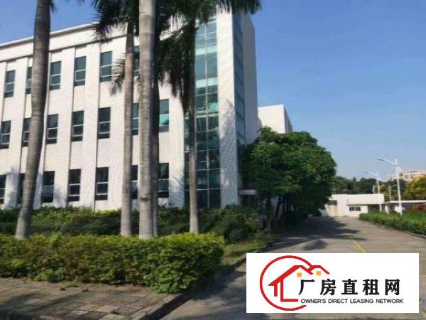  万江一楼重工类厂房1000平方出租一楼带牛角行车租金便宜