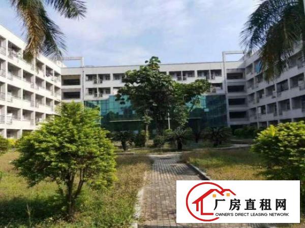  万江一楼重工类厂房1000平方出租一楼带牛角行车租金便宜
