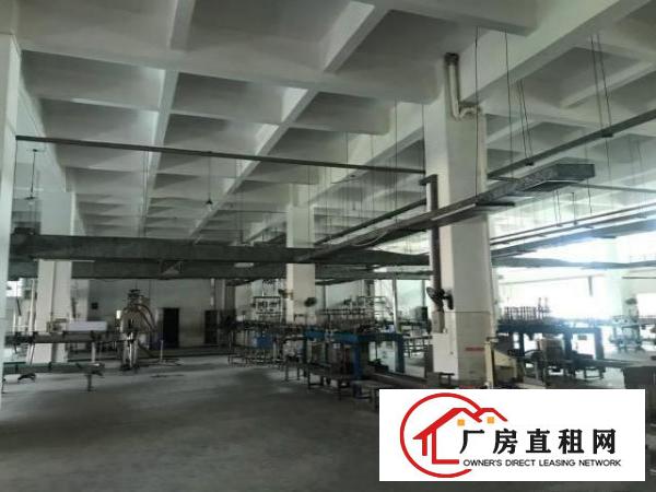  标准厂房，大路边上，交通便利，楼层高6米
