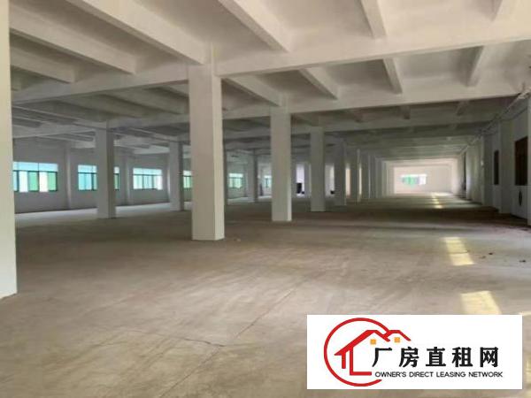  万江客运总站万江石美大型工业园标准厂房分租仓库招租