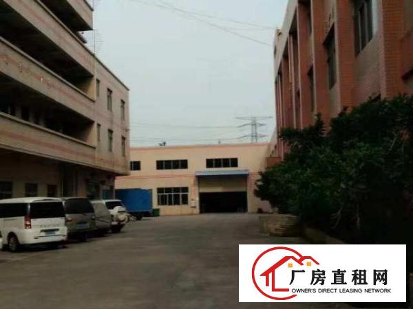  万江现新搬空工业区大小厂房仓600/800/平方
