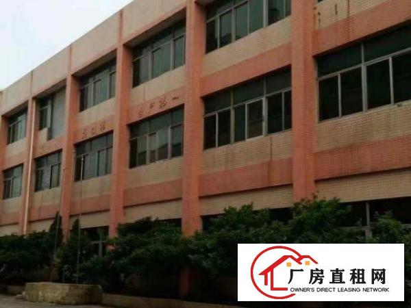  万江现新搬空工业区大小厂房仓600/800/平方