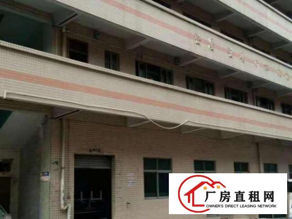 万江现新搬空工业区大小厂房仓600/800/平方