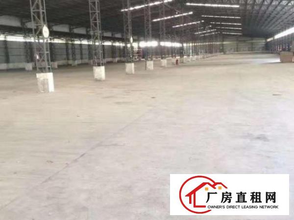  万江现新搬空工业区大小厂房仓600/800/平方