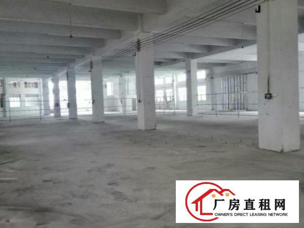  万江石美工业区砖墙到顶一层1600平方厂房出租