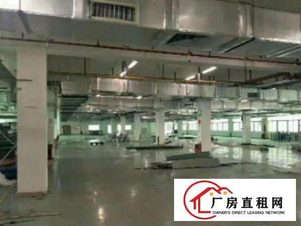  万江独院标准一楼厂房出租5001500、2000平方出租