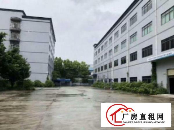  新出独院标准楼上2楼整层2700平方厂房带现成装修出租