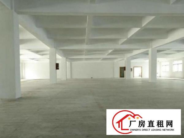  万江新出500平米标准一楼厂房招租