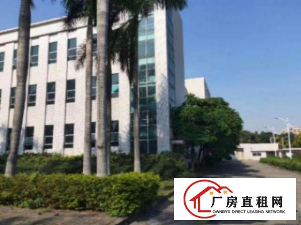  万江周边水乡片区新出可以做学校、医院、仓储物流园等厂房出租
