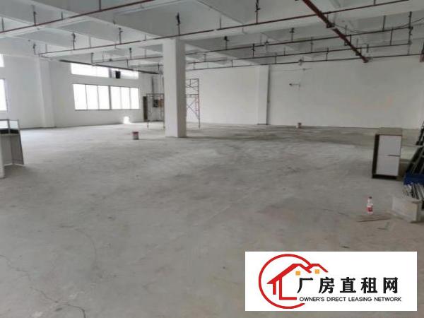 独门独院原房东标准厂房12000方空地超大