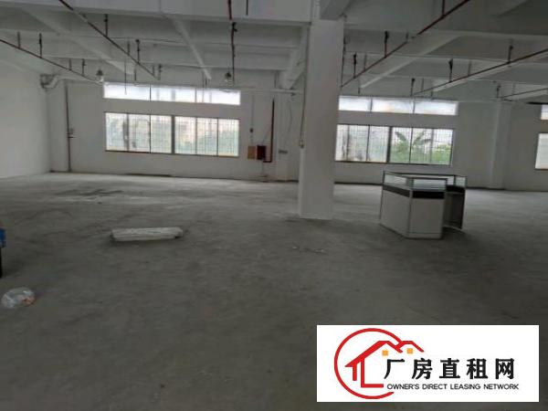  独门独院原房东标准厂房12000方空地超大