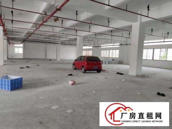  独门独院原房东标准厂房12000方空地超大